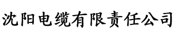 狂牛影院电缆厂logo